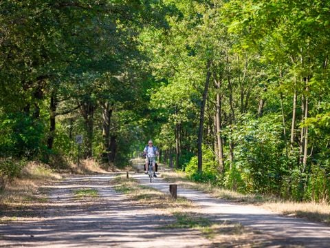 Roompot Recreatiepark De Tolplas - Wierden