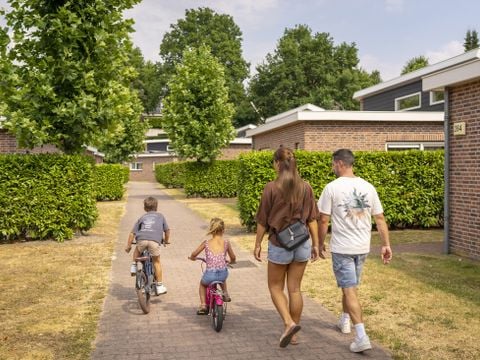 Landal Resort Arcen  - Arcen - Afbeelding N°4