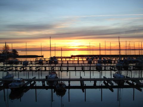 Landal Marinapark Volendam - Edam-Volendam - Afbeelding N°23