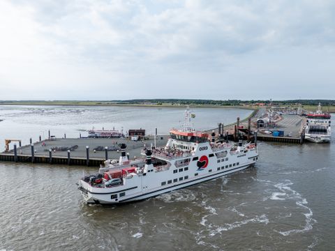 Landal Vakantiepark Boomhiemke - Ameland - Afbeelding N°31