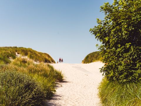Landal Vakantiepark Boomhiemke - Ameland - Afbeelding N°33