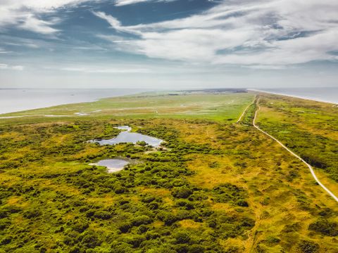 Landal Vakantiepark Boomhiemke - Ameland - Afbeelding N°38