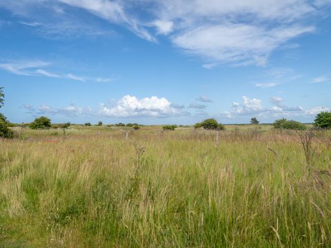 Landal Vakantiepark Boomhiemke - Ameland - Afbeelding N°40