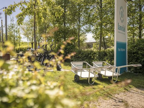Landal Park Wijdenes - Drechterland - Afbeelding N°19