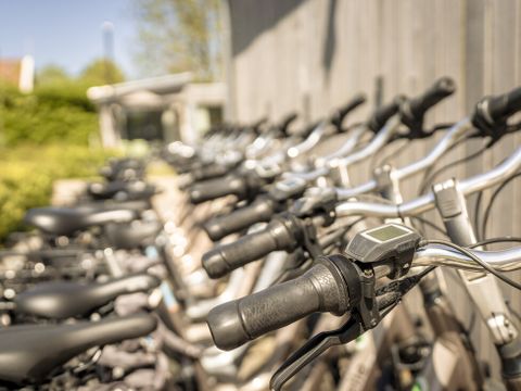Landal Park Wijdenes - Drechterland - Afbeelding N°20