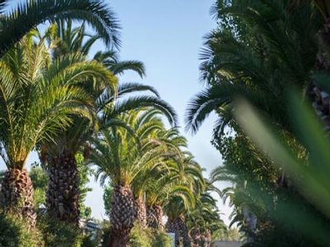 Tour Opérateur et particuliers sur camping La Carabasse - Fun Pass non inclus  - Camping Hérault