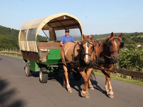 Roompot Eifelpark Kronenburger See - Noordrijn-Westfalen