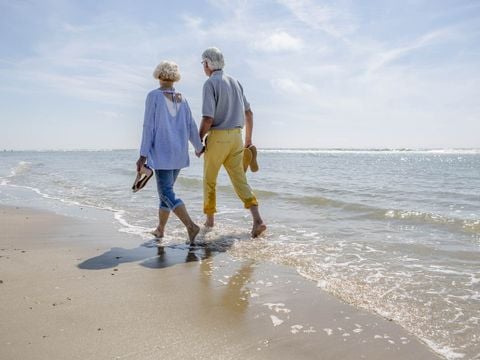 Landal Breeduyn Village - West-Vlaanderen