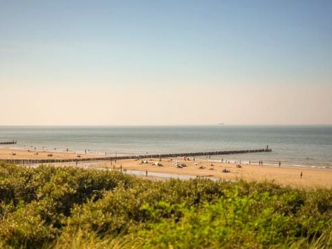 Landal Hof Domburg - Veere