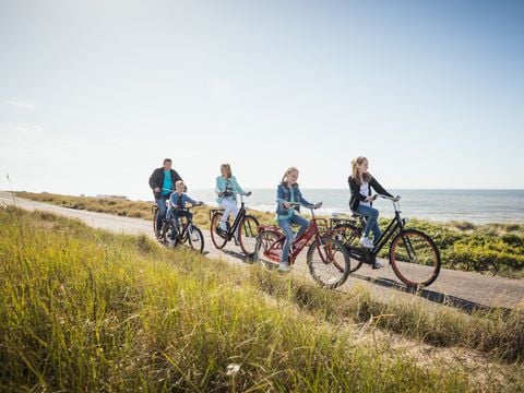 Landal Hof Domburg - Veere - Afbeelding N°4