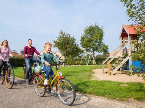 Landal De Soeten Haert - Renesse - Afbeelding N°2