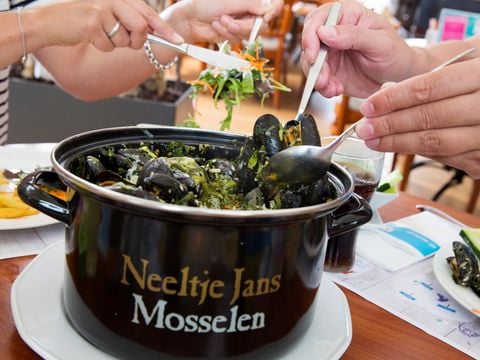 Landal De Soeten Haert - Renesse