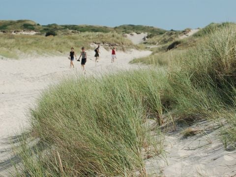 Landal Kustpark Texel - Texel
