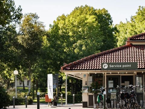 Roompot Weerterbergen - Camping Weert - Afbeelding N°5