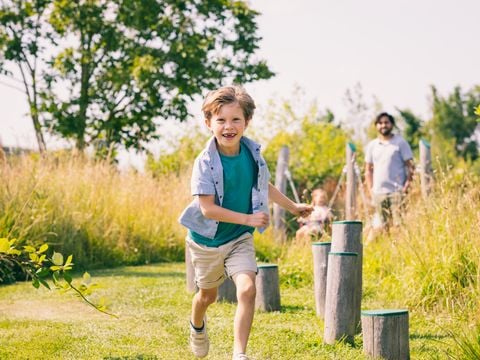 Summio Vakantiepark Zeedijk - Camping Goeree-Overflakkee - Afbeelding N°2