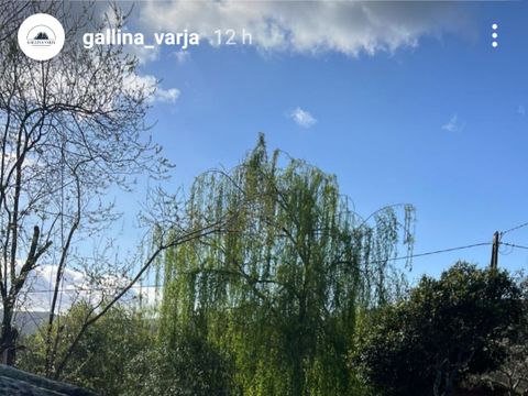 Camping Gallina Varja - Camping Zuid-corsica
