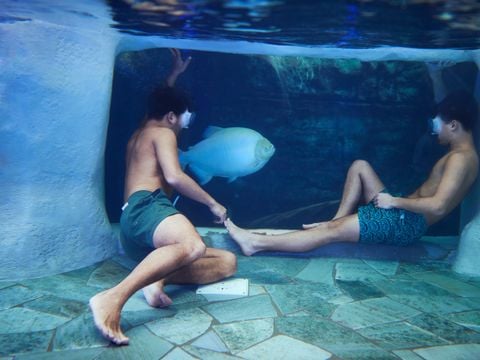 Center Parcs Le Bois aux Daims - Vienne