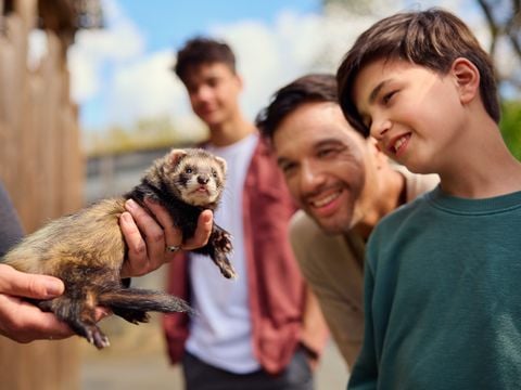 Center Parcs - Domaine Le Bois aux Daims - Vienne - Afbeelding N°3