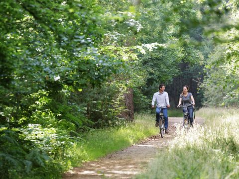 Center Parcs  Les Bois-Francs - Eure