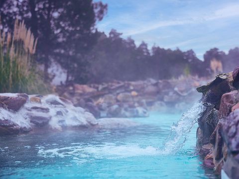 Center Parcs Les Hauts de Bruyères - Loir-et-Cher - Afbeelding N°52