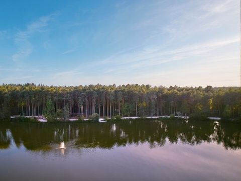 Center Parcs Les Hauts de Bruyères - Loir-et-Cher - Afbeelding N°54