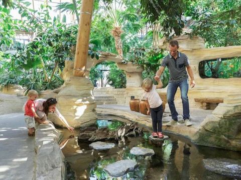 Center Parcs Les Trois Forêts - Camping Moselle - Afbeelding N°5