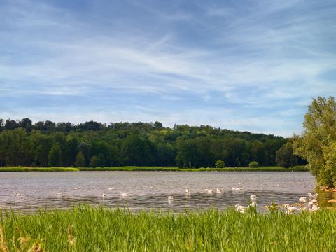 Center Parcs Le Lac d'Ailette - Aisne - Afbeelding N°66