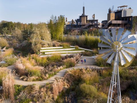Center Parcs Villages Nature Paris - Seine-et-Marne - Afbeelding N°53