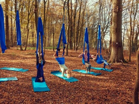 Center Parcs Villages Nature Paris - Seine-et-Marne - Afbeelding N°54