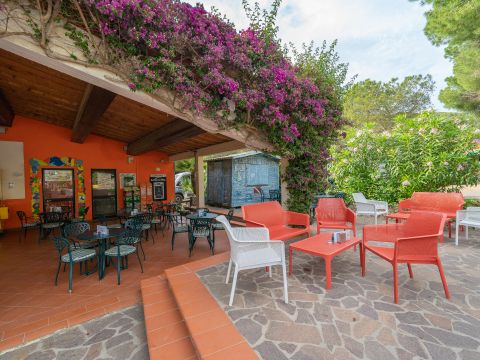 Camping Rosselba le Palme  - Livorno