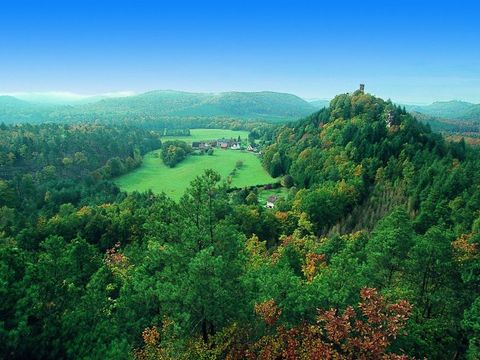 VVF Villages - Les Vosges du Nord - Bitche - Camping Moselle - Afbeelding N°3