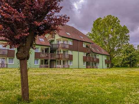 VVF Villages - La Plaine d'Alsace - Obernai - Camping Bas-Rhin
