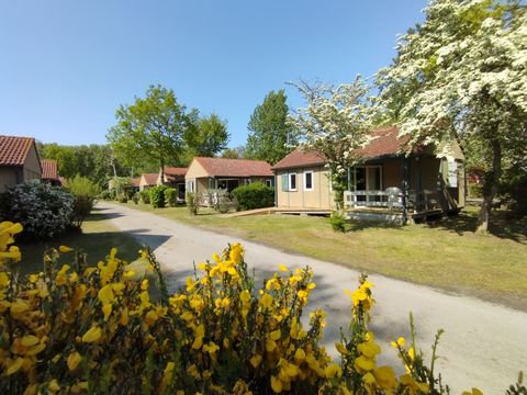 CARAVANING L'OREE DU BOIS - Camping Pas-de-Calais