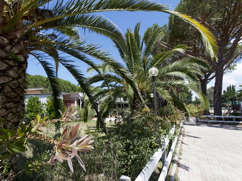 Camping Village Oasi - Camping Grosseto