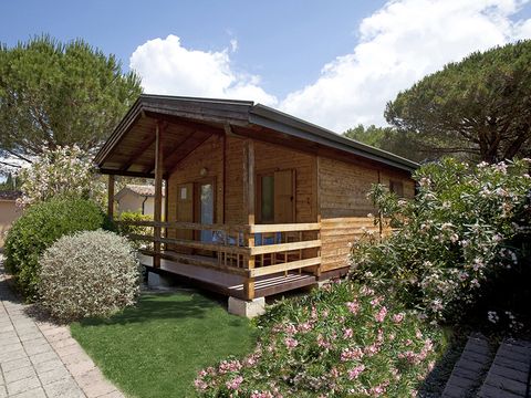 Camping Village Oasi - Camping Grosseto - Afbeelding N°2