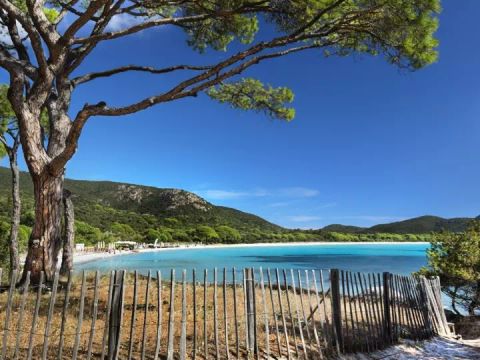Camping Petra Legna - Camping Zuid-corsica