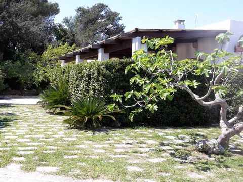 Camping Agriturismo Vignavecchia - Camping Lecce