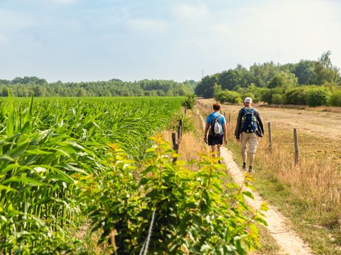 Vakantiepark Mölke - Wierden - Afbeelding N°11