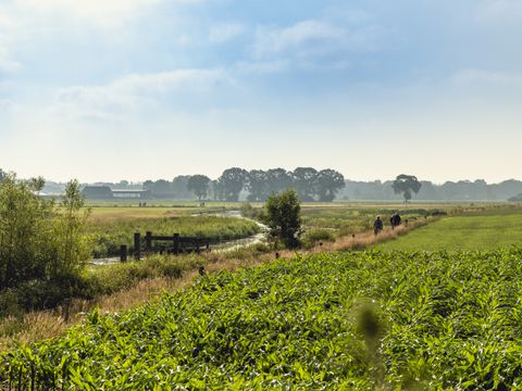 Vakantiepark Mölke - Wierden - Afbeelding N°32