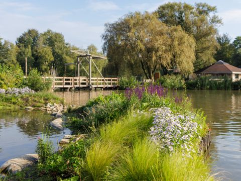 Center Parcs De Huttenheugte - Coevorden - Afbeelding N°38