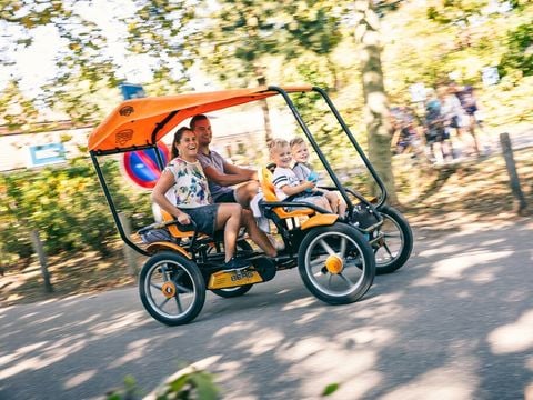 Roompot Bospark De Schaapskooi - Camping Epe - Afbeelding N°2