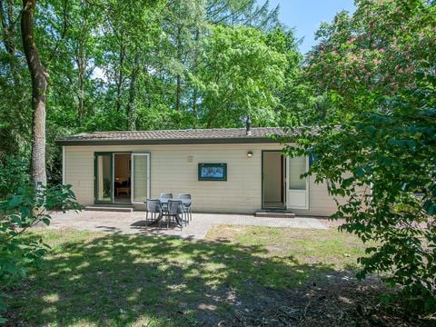 Roompot Bospark De Schaapskooi - Epe - Afbeelding N°0