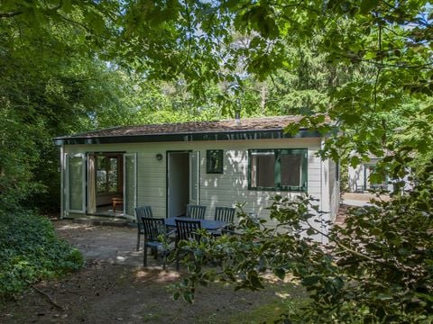 Roompot Bospark De Schaapskooi - Epe - Afbeelding N°0