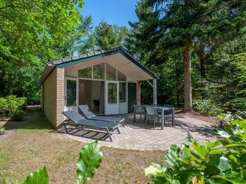 Roompot Bospark De Schaapskooi - Epe - Afbeelding N°0