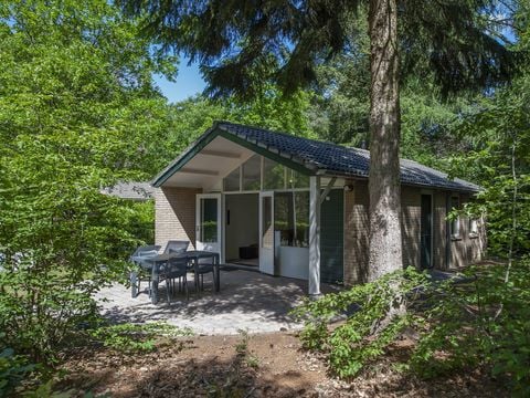 Roompot Bospark De Schaapskooi - Camping Epe - Afbeelding N°0