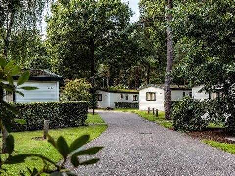 Roompot Bospark De Schaapskooi - Camping Epe - Afbeelding N°3