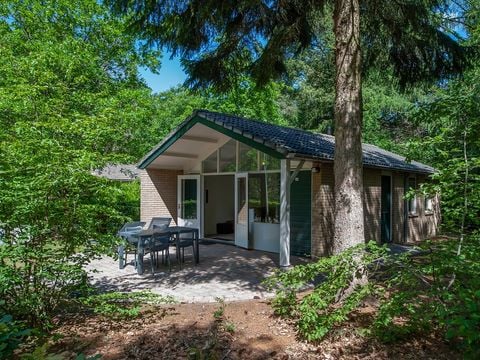 Landal Bospark De Schaapskooi - Epe