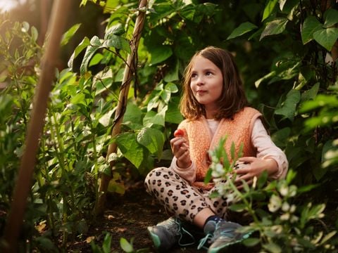 Center Parcs Het Meerdal - Horst aan de Maas - Afbeelding N°4