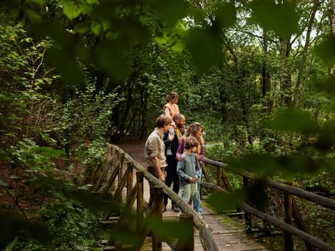 Center Parcs Het Meerdal - Horst aan de Maas