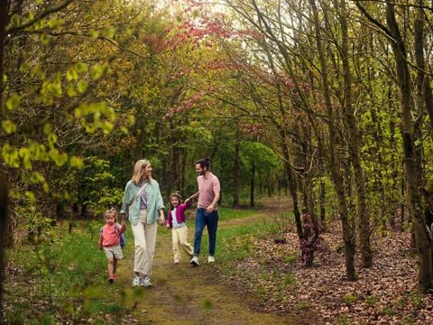 Center Parcs Het Meerdal - Horst aan de Maas - Afbeelding N°0